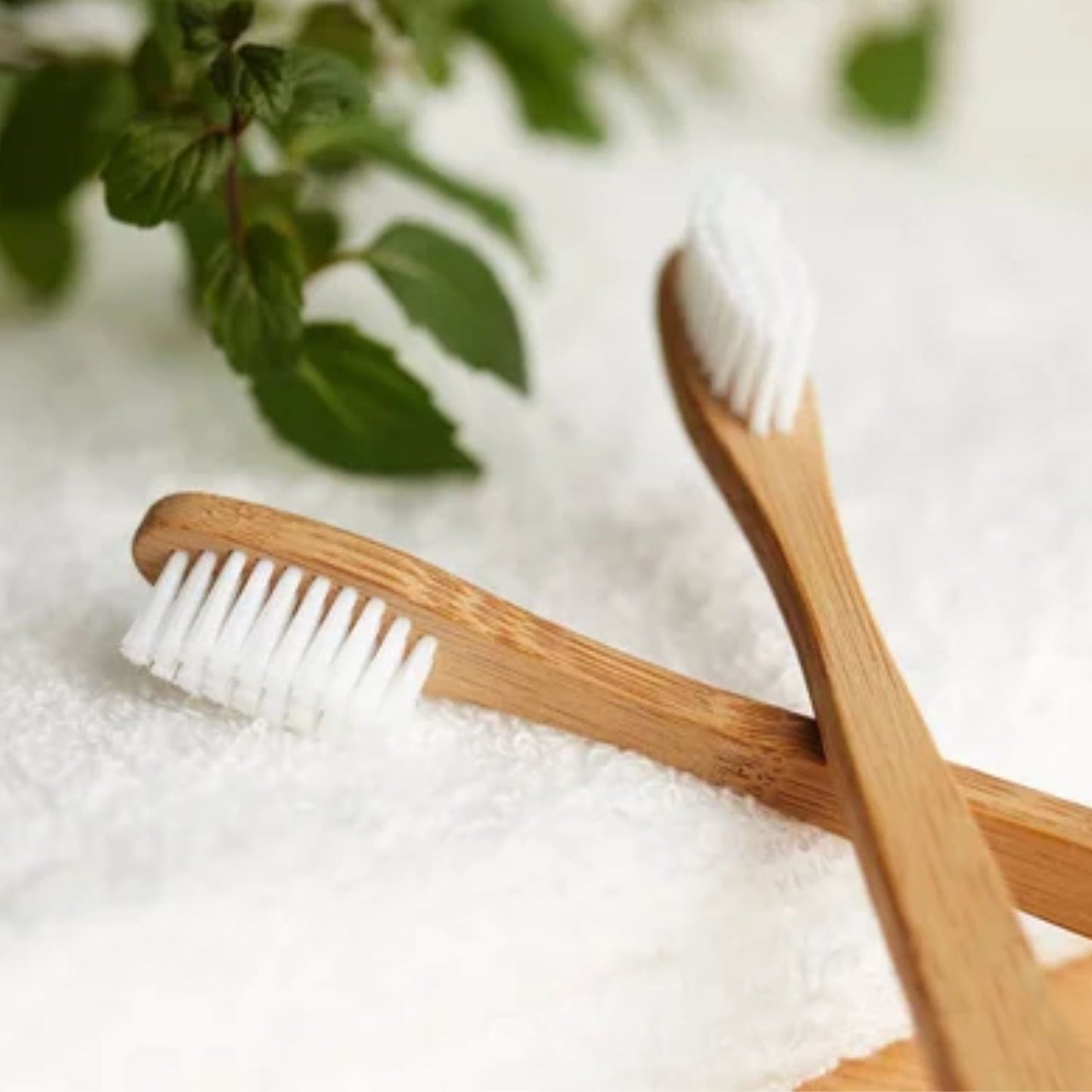Cepillo de Dientes de Bambú | Cerdas Duras Color Blanco