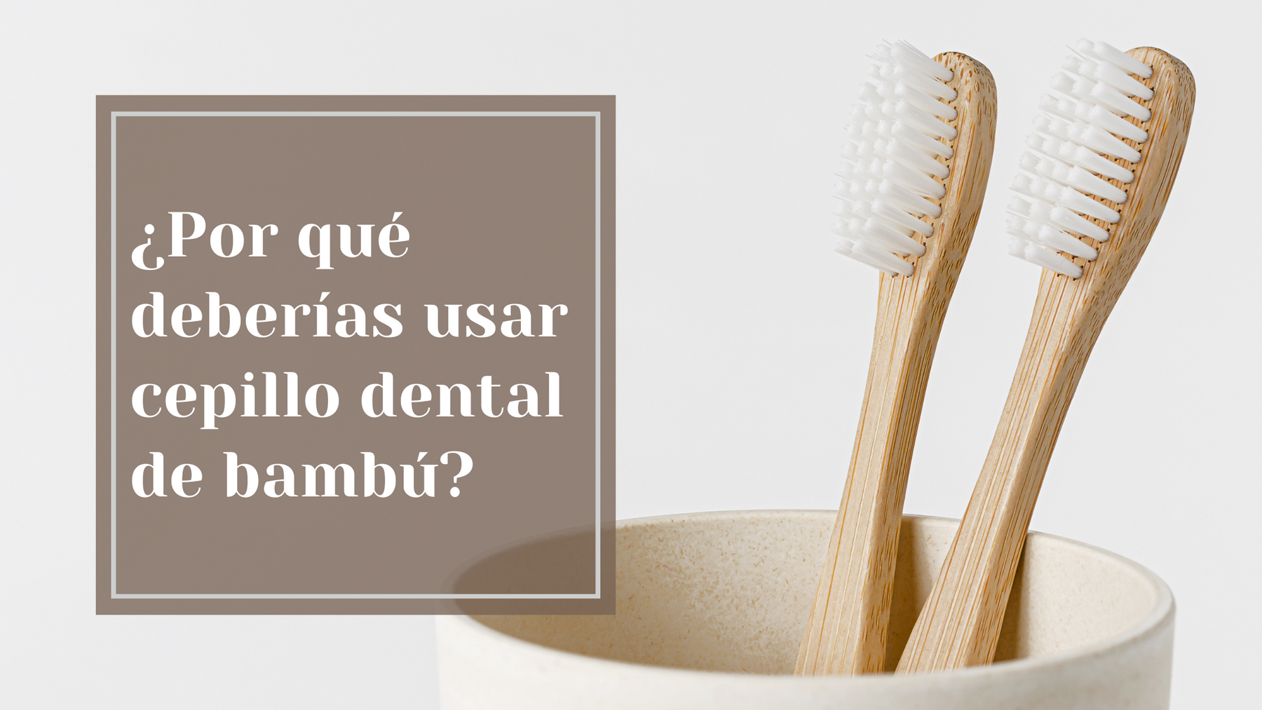 Por qué usar cepillo dental de bambú es la mejor opción