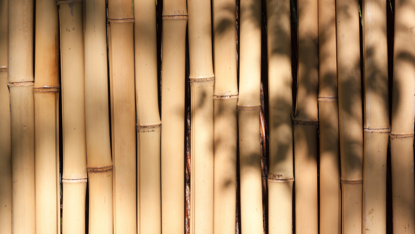 BAMBOO TOOTHBRUSH CASE